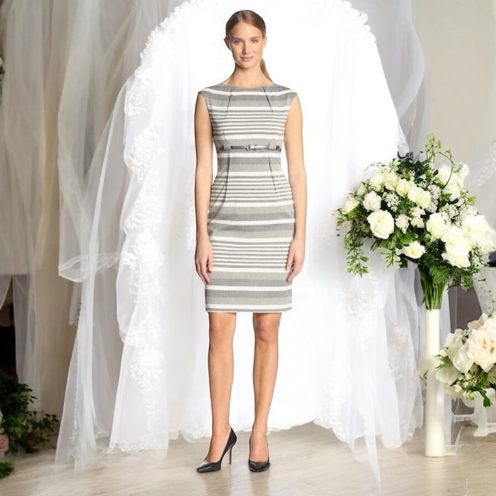 Calvin Klein Gray Striped Pintucked Sheath Dress With Silver Belt Size 6 - Picture 3 of 16